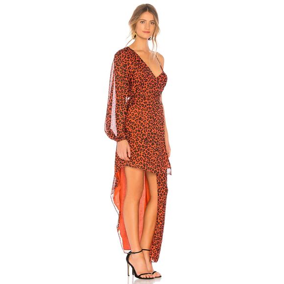 Michelle Mason Spice Leopard Animal Print Silk Asymmetrical Wrap Dress - Picture 2 of 12